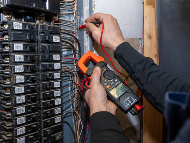 Best Local Electrician Companies  in Dakota City, NE